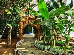 -石家庄市植物园