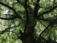 -敬亭山风景名胜区