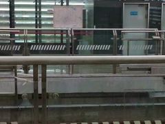 -外高桥保税区南(地铁站)