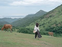 -大姆山草场