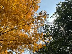 -南京市江宁方山