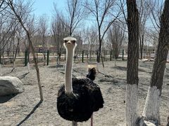 -水上乐园·欢乐世界