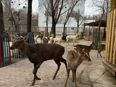 -水上乐园·欢乐世界