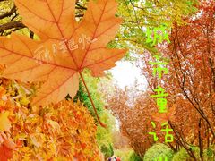 -元大都城垣遗址公园