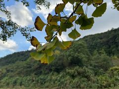 -东钱湖旅游度假区