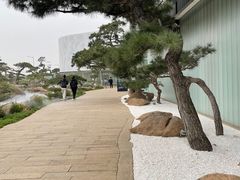 -罗红摄影艺术馆