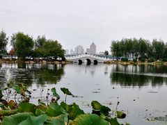 -长春市南湖公园