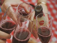 -苏州河梦清园环保主题公园