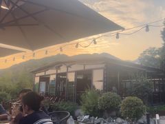 -蘇河湾·新鲁菜·泰山宴(泰山店)