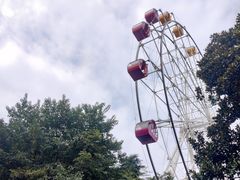 -红山森林动物园