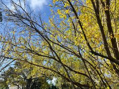 -云南师范大学(一二一西南联大校区)