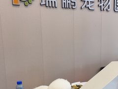 -瑞鹏宠物医院·骨科·猫科·内科(第一中心)
