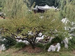 -采石矶景区