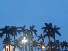 -澳门喜来登大酒店