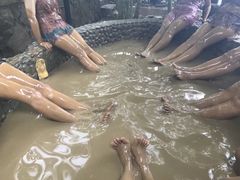 -100蛋泥浆浴