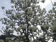 -爸爸糖手工吐司(苏州环球188店)