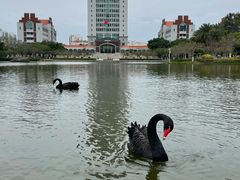 -厦门大学(思明校区)