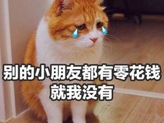-刘一锅筋头巴脑(大悦城C店)