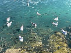 -青海湖二郎剑景区