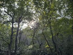 -虞山风景区