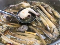 -鸽鸟轩(石岐店)