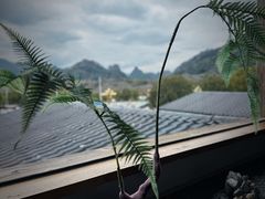 -宴武夷·匠心闽味(印象大红袍店)