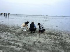 -江山半岛白浪滩景区