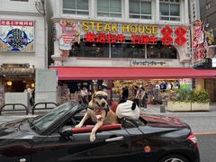 -国际通