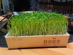 -湊湊火锅·茶憩(上海合生汇店)