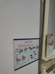 -南京医科大学友谊整形外科医院