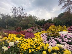 -杭州植物园