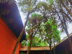 -洛阳白马寺