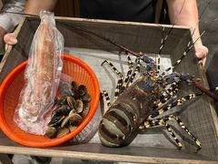 -海九澎湖海鲜餐厅