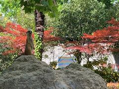 -上海野生动物园