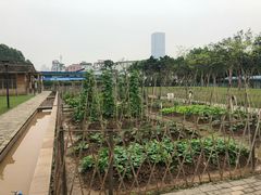 -海珠儿童公园