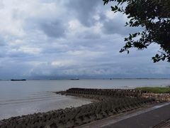 -上海滨江森林公园