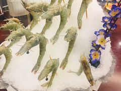 -海通1号(梅峰店)