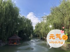 -同里湖度假村(二期店)