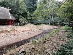 -西双版纳原始森林公园