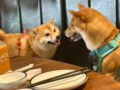 -Local泰莲庭(虹鳟鱼店)