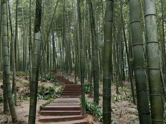 -蜀南竹海景区