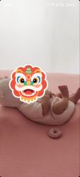 点击看大图 -玛瑞莎孕婴童摄影到家拍
