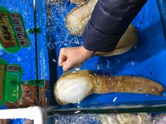 -大东海海鲜酒楼(渔人码头总店)