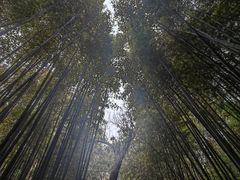 -四门塔风景区