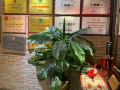 -刘姐啤酒鱼民族演艺餐厅(西街总店)