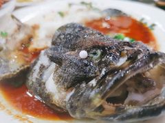 清蒸石斑鱼-巽寮印象美食部落餐厅·海鲜·地方特色菜(惠州体验店)