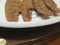 -崂山印象·青岛·海鲜渔家菜