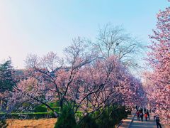-山东师范大学(千佛山校区)