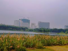 -南宁南湖公园