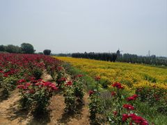 -君乐宝优致牧场